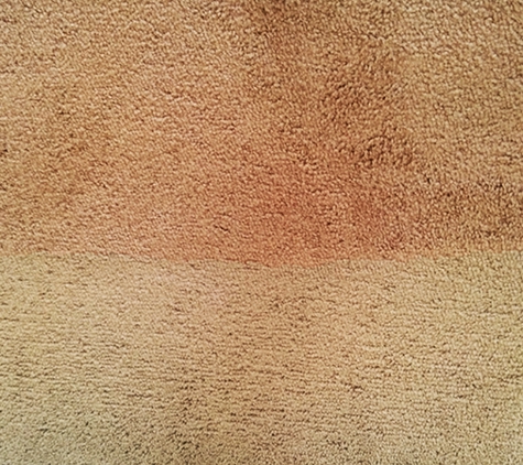 Truly Clean Carpet Care - Warner Robins, GA