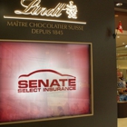 Senate Select Insurance