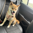 Riverbank Animal Hospital - Veterinarians