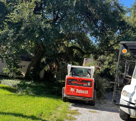 Taylor Tree Co. - Long Beach, MS