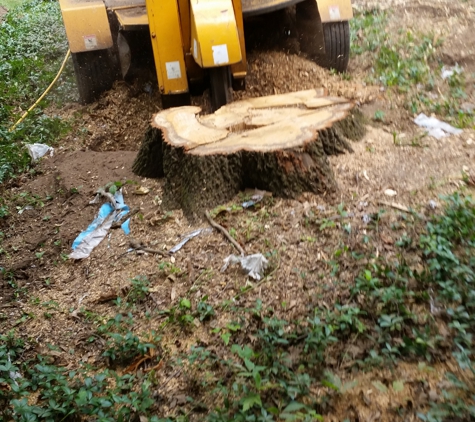 Five Starr Stump Grinding