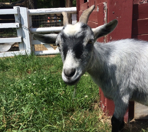 Long Island Game Farm Wildlife Park & Children's Zoo - Manorville, NY