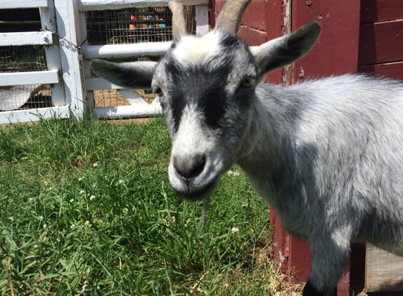 Long Island Game Farm Wildlife Park & Children's Zoo - Manorville, NY