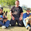 Southern Warrior K9 - Dog Training