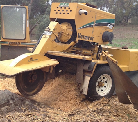 Peninsula Tree & Stump Service - Curramulka, SA. Our services are tailored to perfection, as we have a deep-rooted commitment to excellence.