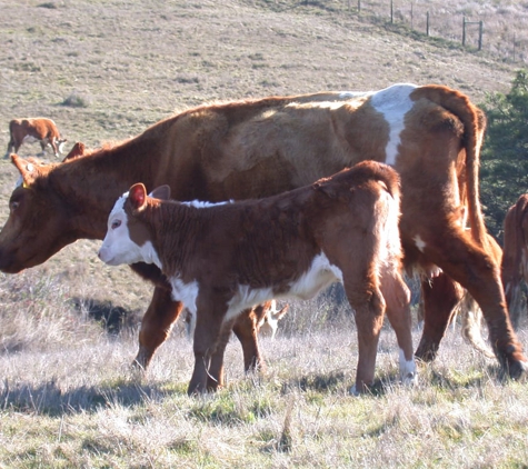 Westside Farm & Feed