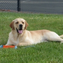 Aptos-Creekside Pet Hospital - Pet Services