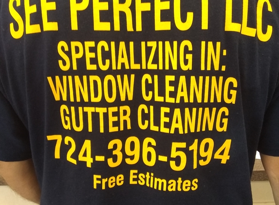 See Perfect LLC - Latrobe, PA