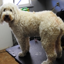 Sassafras Pet Spa, LLC - Pet Grooming