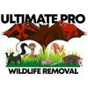 Ultimate Pro Wildlife Removal gallery