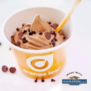 Orange Leaf Frozen Yogurt - Yogurt