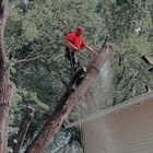 J & J Tree Services