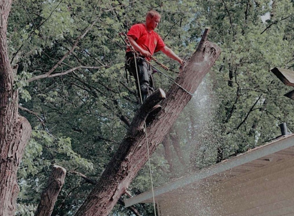 J & J Tree Services