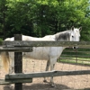 Wildlife Prairie State Park gallery