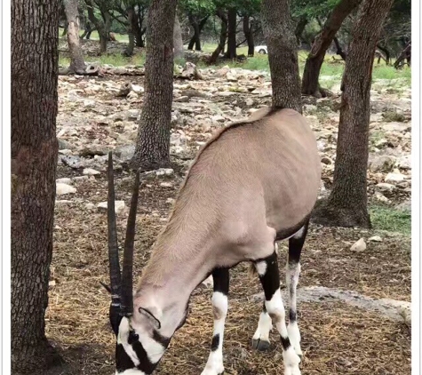 Natural Bridge Wildlife Ranch