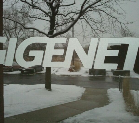 Gigenet - Arlington Heights, IL