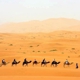 Morocco Excursions Company