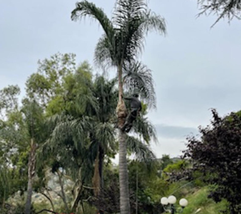 Quality Tree Service Inc - South El Monte, CA