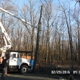 Blue Ridge Tree Services