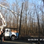 Blue Ridge Tree Services