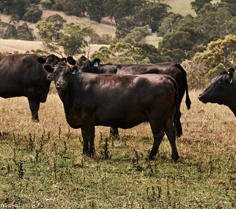 Southern Stockfeeds - Loddon, VIC