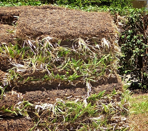 Travis Resmondo Sod. This is the sod on the morning of the delivery... dry & lower parts are yellowed.