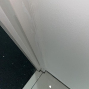 Gallery Image Number 2