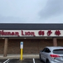 Hunan Lion