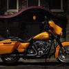 Buckminn's D & D Harley Davidson gallery