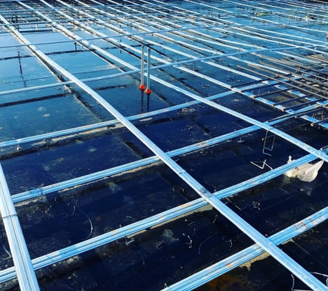Beecham Concreting And Concrete Pumping - Bathurst, NSW