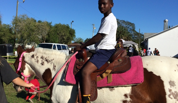 The Painted Pony Petting Zoo and Pony Ride Service - Fort Pierce, FL