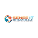 Senee IT Consulting - Executive Search Consultants