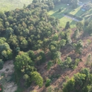 Mapleville Land Clearing - Excavation Contractors