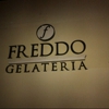 Freddo gallery