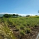 Hapuna Golf Course