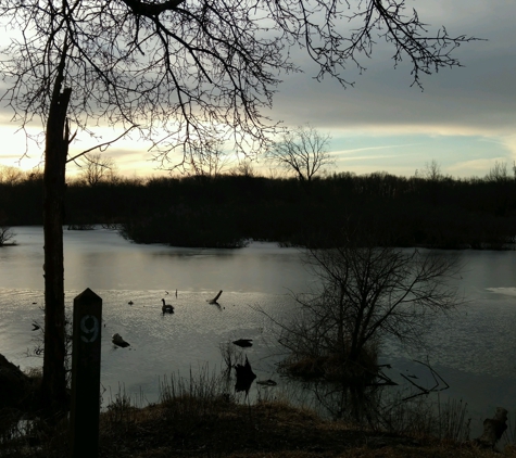 Lillie Park - Ann Arbor, MI