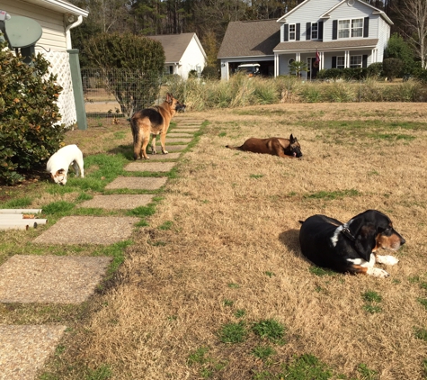 Coastal K9 Training - Bluffton, SC