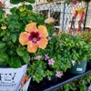 Tractor Supply Co gallery
