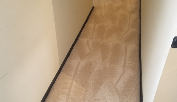 Imperial One Cleaning Services - Woodbridge, VA. PET STAIN GONE