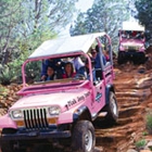 Pink Jeep Tours