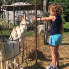 Natick Community Organic Farm