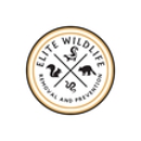 Elite Wildlife Removal and Prevention, LLC - Bird Barriers, Repellents & Controls