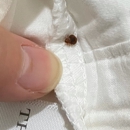 Affordable Bed Bug Exterminators - Pest Control Services