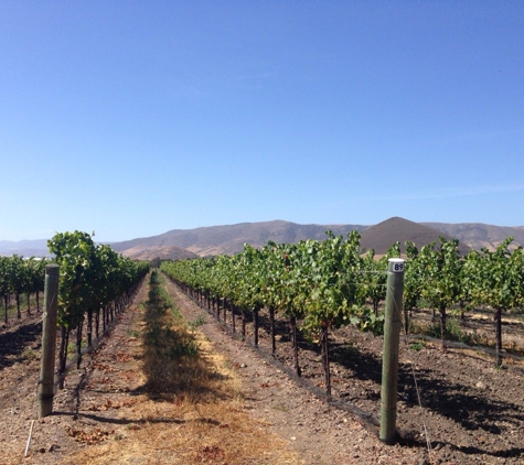 Tolosa Winery - San Luis Obispo, CA