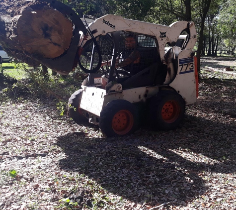 A Better Cut Tree Service - Lakeland, FL