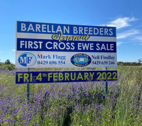 Design & Signs & Digital Print - Griffith, NSW
