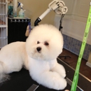 Muddy Paw Dog Grooming - Dog & Cat Grooming & Supplies