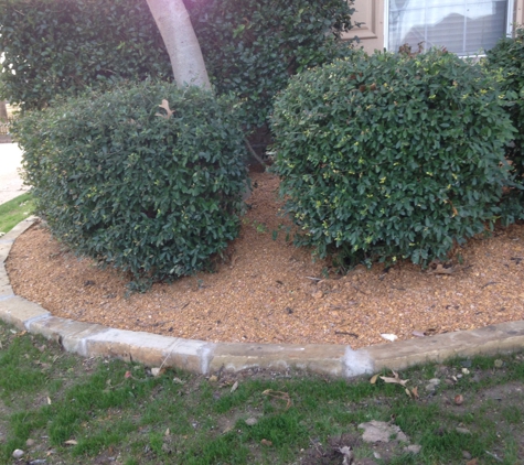 Noah's Driveway Detail & Landscaping - McKinney, TX