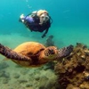 Ka'anapali Scuba gallery