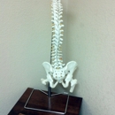 Abshire Chiropractic - Chiropractors & Chiropractic Services